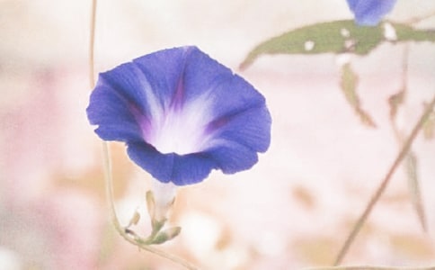 �P�������Ġ�����������400��