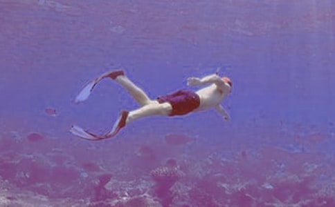 ��ˮͧ�~�ĺ�(ji��n)��-��ˮͧ�~���w������