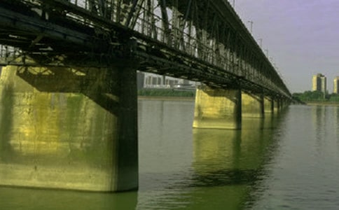 語言是溝通的橋梁作文