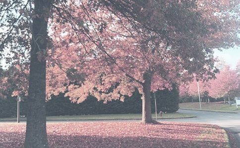 ���꼉�＾��ĩ�u�Z