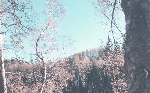 �＾�W(xu��)ǰ��̌W(xu��)Ӌ��