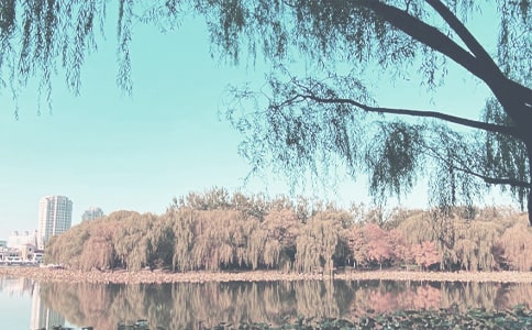 �＾�W��С�W�������Y