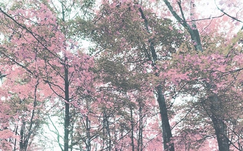 �＾С�W(xu��)����һ�n����ӛ䛷��������x15ƪ��