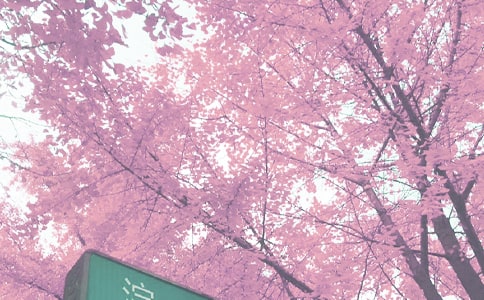 ����＾�̌W(xu��)Ӌ������