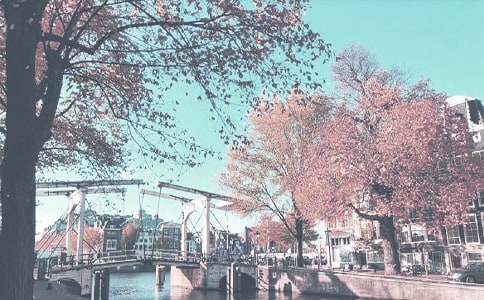 �＾��(xi��)�����ģ����x23ƪ��