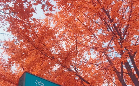 ����˽�Z(y��)����