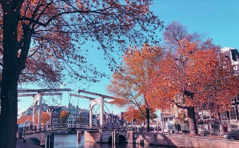 ����˽�Z����