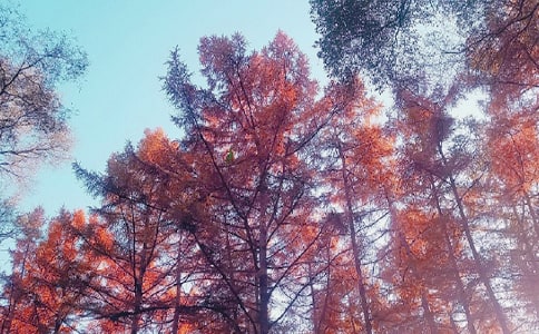 ���յ���˼ǧɽ����750��