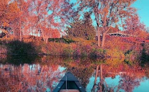 秋日游峙山作文