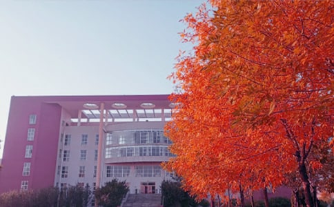 秋日交響曲作文