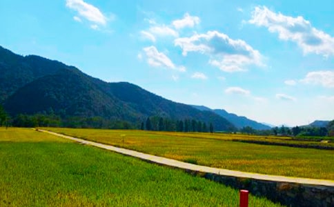 關(guān)于秋收作文