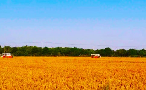 �w�(y��n)�������ģ����x27ƪ��