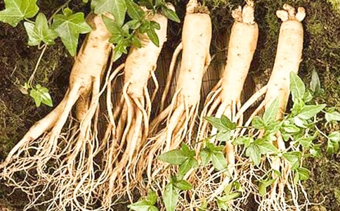 ��(n��i)�ɹţ�6128�˅���2010�����Tʿ�W(xu��)λȫ��(gu��)(li��n)��