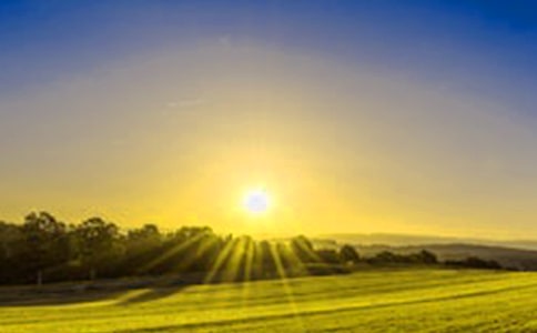 關(guān)于日出作文15篇(必備)