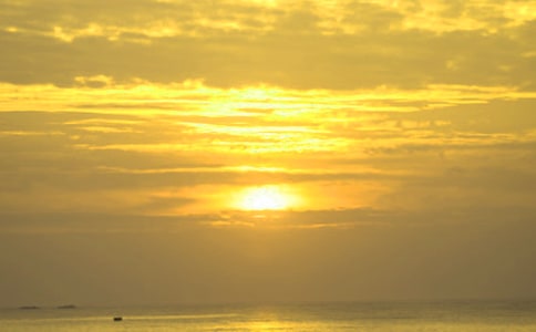 關(guān)于日出作文15篇【精選】