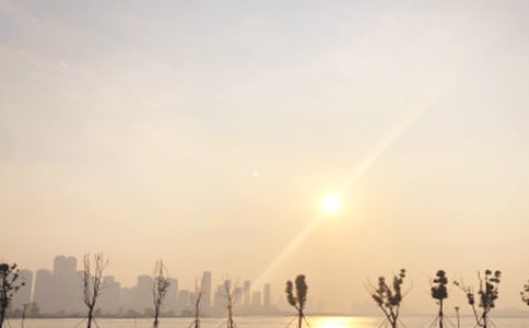 五月的日出經(jīng)典散文