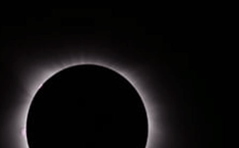 看日食_小學(xué)寫人記事作文