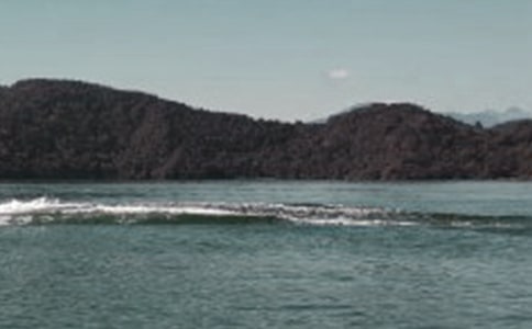 ������̶�Ă��f���ڶ��n�r