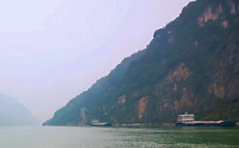 ���{�Č����~