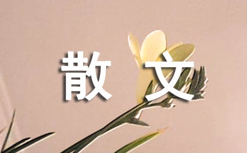遺忘之愛散文
