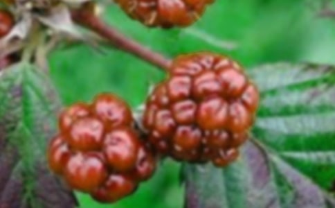 ժɣ����Ӻ��˼���c�ի@