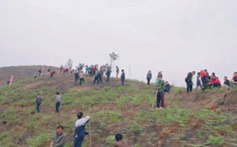 掃墓的作文3篇(合集)