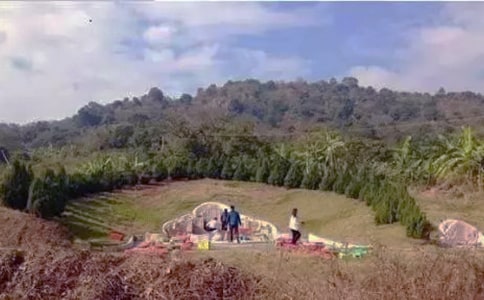 �P(gu��n)�ڒ�Ĺ����ӛ