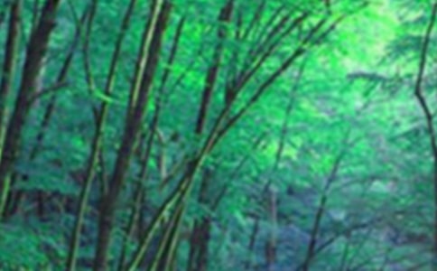 森林防火致家長的一封信(15篇)