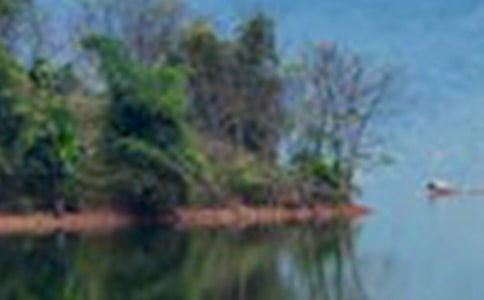 關(guān)于山水作文