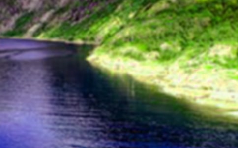 �茑(xi��)ɽˮ�L(f��ng)��ľ���