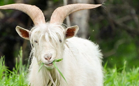 ɽ�򲻳����ò��x���(���x15ƪ)