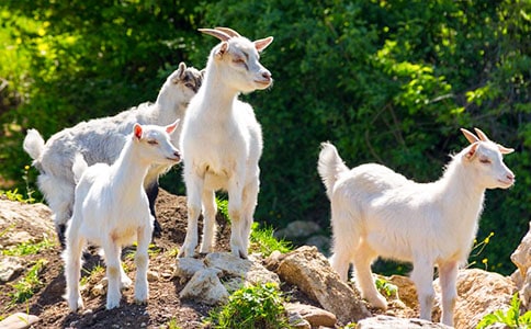 ɽ��v�U(xi��n)ӛ����