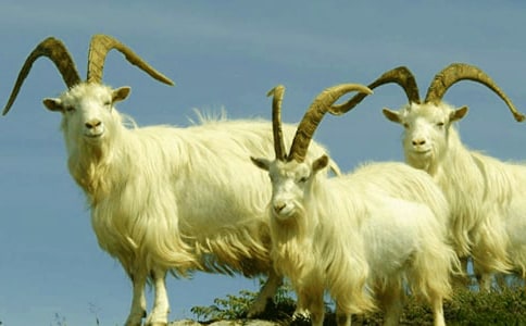 �ɐ۵�ɽ������400�֡����A��