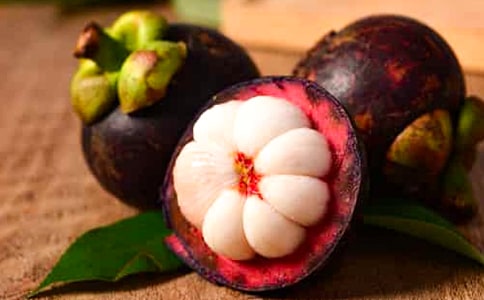 迷人的茶山竹海作文