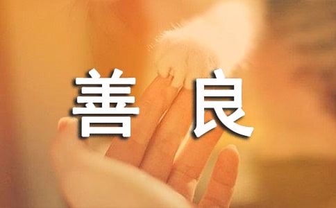 �P(gu��n)�����������ģ����T��