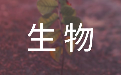 高中生物教學(xué)計(jì)劃合集15篇