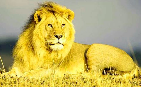 �K�ݪ{���֌�(d��o)���~(10ƪ)