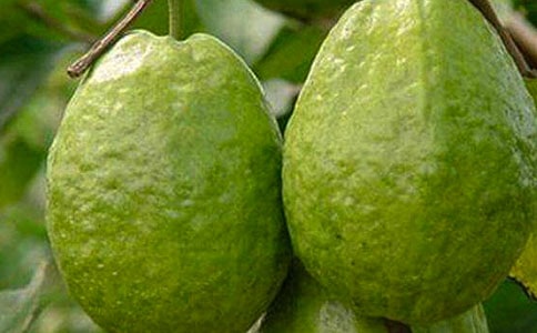 �P(gu��n)��ʯ������ģ����x��