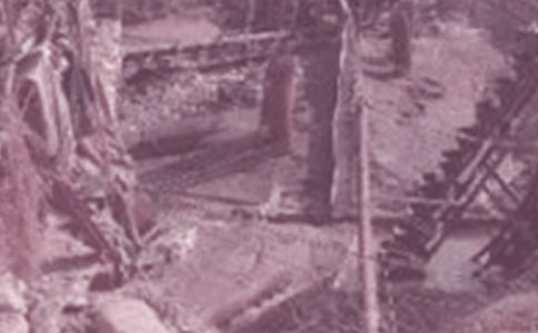 ʯ�͌��I(y��)���g(sh��)�������Y(ji��)