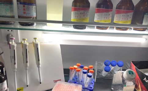 參觀實(shí)驗(yàn)室心得體會