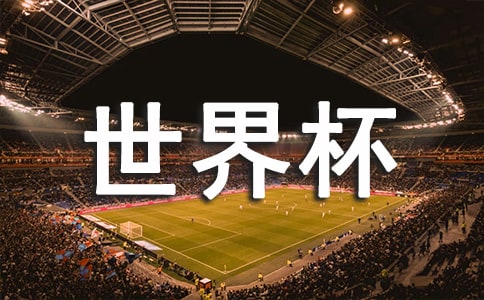 看世界杯的作文(通用9篇)