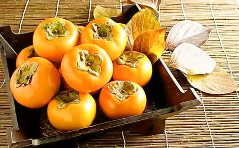 關(guān)于柿子樹的作文