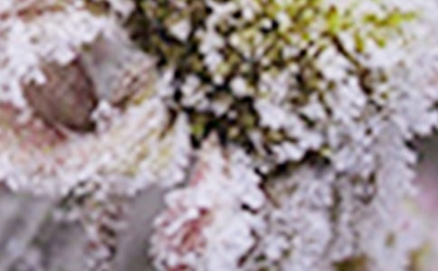 �P�h����˪�����c(di��n)������