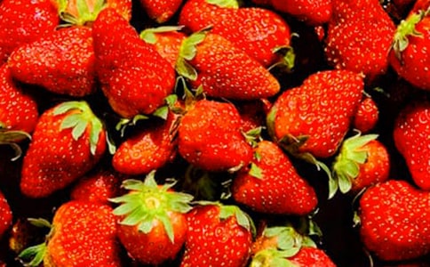 ˮ�������ľ��x15ƪ