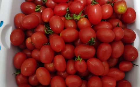 我愛吃的水果日記