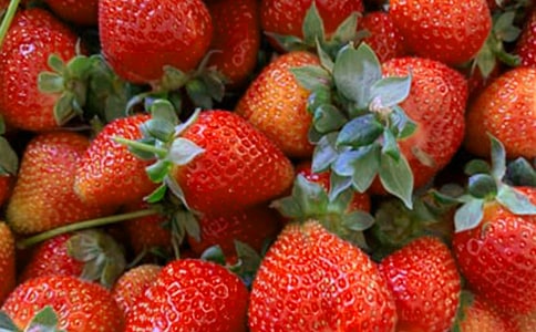 大班美術(shù)畫水果教案