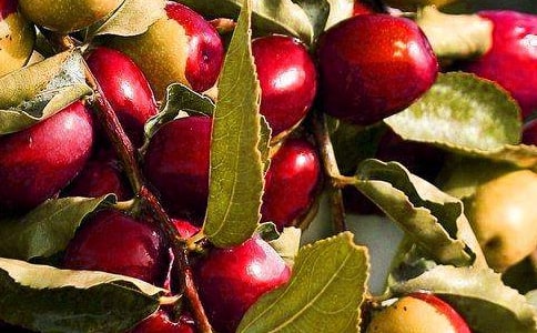 ���óԵ�ˮ�������g�̰�