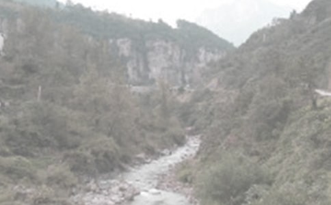 Ӱ��r(n��ng)�I(y��)ˮ������Ͷ�YҎ(gu��)ģ������̽��