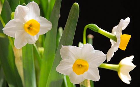 һ�ò��_����ˮ������