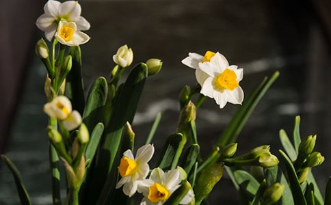 �P(gu��n)��ˮ�ɵ�����[��]